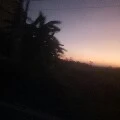Giáo viên