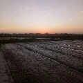 All