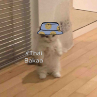 Tác giả 
