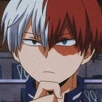 Shoto Todoroki