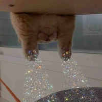 Tác giả cute phomai que ✨