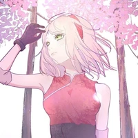 °•Sakura•°