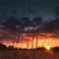 Nhân vật bí ẩn