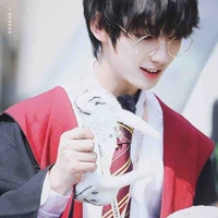 Đinh Trình Hâm