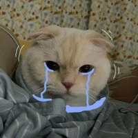 kon tác giả ngu văn đay😼