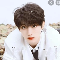 Đinh Trình Hâm