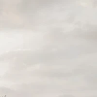 những người xuyên không