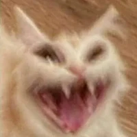 Tác giả "xinh xẻo"