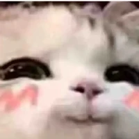 T/g xinkh đẹkp💅