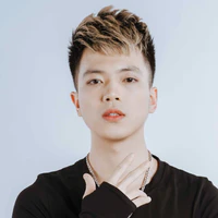 Hoài Việt(Vịt)