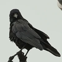 ruki