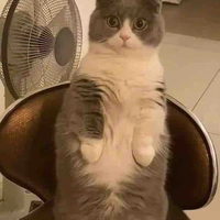 Con tác giả nghiện FLAMINGO 🦩 