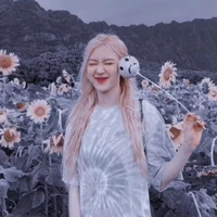 rose (dẹo)