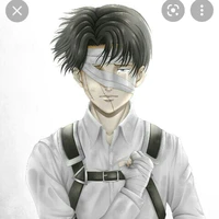 Levi