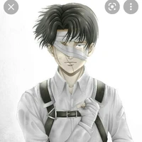Levi