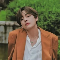 KIM TAEHYOUNG ( V )
