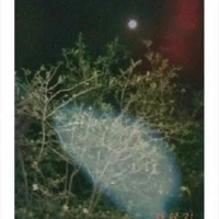 c.anh