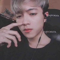 Mr vịt