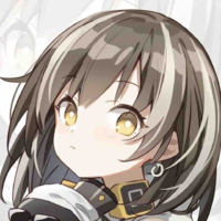 Y/N