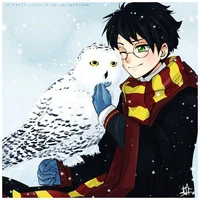 Harry Potter