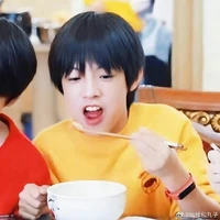 Trương Trạch Vũ