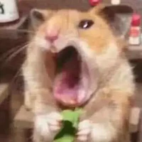 Côn đồ
