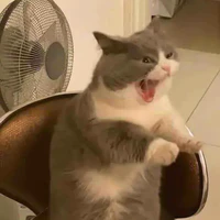 Côn đồ