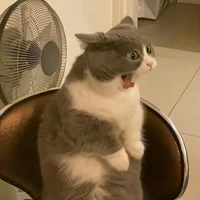 tác giả