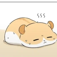 hamster
