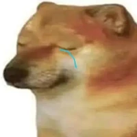 chó tên mèo