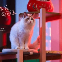 Bánh Bự