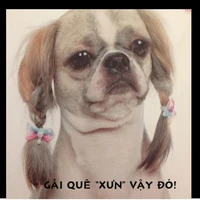 con tác giả