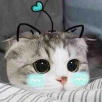 Tác giả (~￣³￣)~