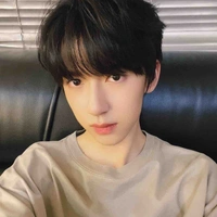 Hạ Tuấn Lâm 