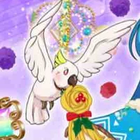 Palm (vẹt cưng của Sora).