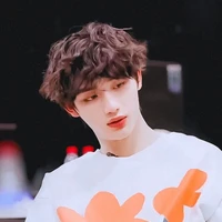 Đinh Trình Hâm