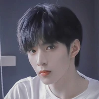 Lưu Diệu Văn