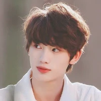 Đinh Trình Hâm