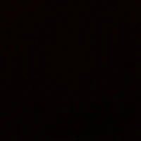 (những người khác)