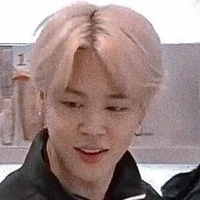 Park Jimin(bố Chae)