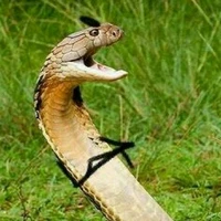 Bé Na xênh đẹp =))