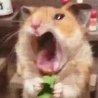 Thằng tồng ăn hại