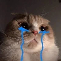 Tác giả thích ăn bún bò :"))