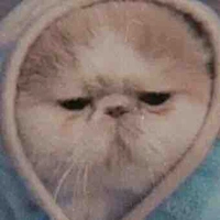 T/g quyền lựccccc