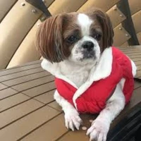 Mickey