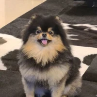 Yeontan