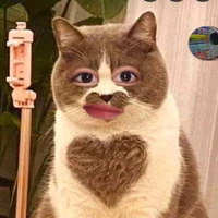 Tác giả đây