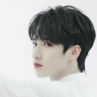 Nghiêm Hạo Tường