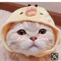 tác giả