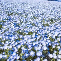 All